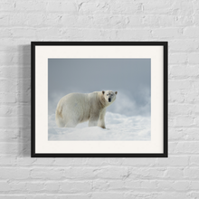 Load image into Gallery viewer, framed image of a polar bear standing on floating ice with snow blowing in the background