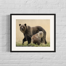 Load image into Gallery viewer, Framed image of a grizzly bear mother with her cub standing in tall yellow grass