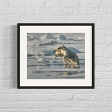 Load image into Gallery viewer, Framed image of a mamma polar bear and her adolescent cub running from a male polar bear