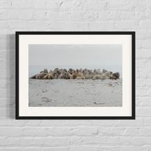 Load image into Gallery viewer, framed image of walruses huddled together on a beach in Svalbard Norway