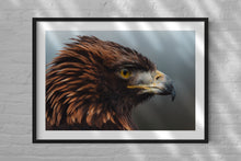 Load image into Gallery viewer, Golden