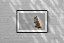 Charger l'image dans la galerie, Écureuil coupable